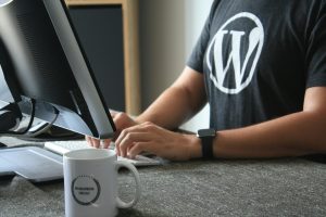 wordpress development